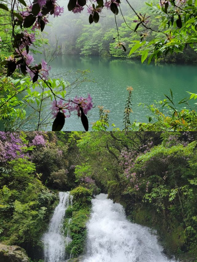 探索貴州黔東南，揭開雷公山的神秘面紗