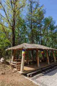 延邊龍井，有一座彷彿置身仙境嘅琵岩山風景區