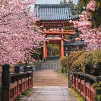 🌸日本·絕美賞櫻地推薦