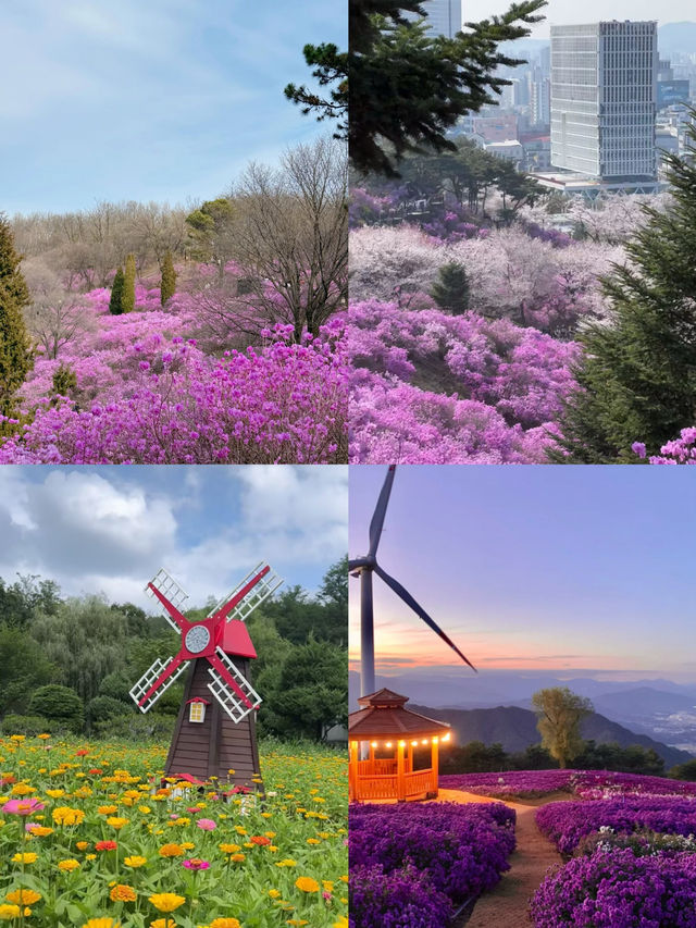 富川市 | 揭開韓國小眾寶藏旅行地