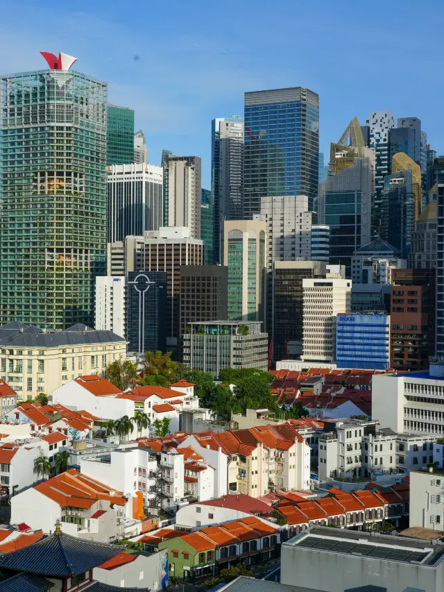 Singapore Old Friends Tour: A Heartwarming Journey You'll Want to Repeat