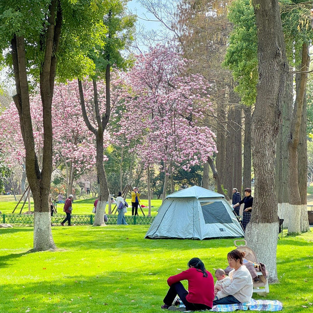 3.20實拍！武漢這個公園美到封神