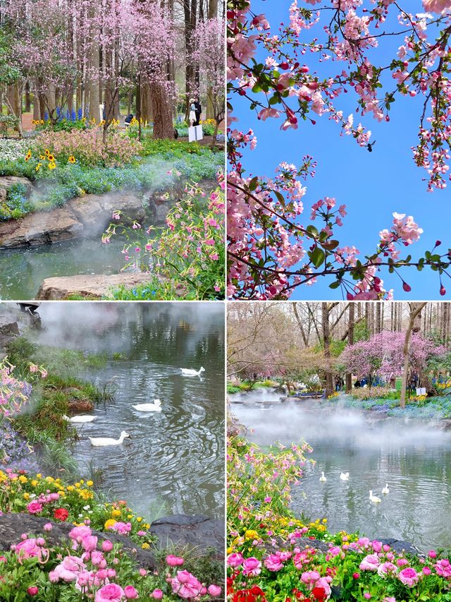 闖入現實版莫奈花園！南京中山植物園遊玩全攻略
