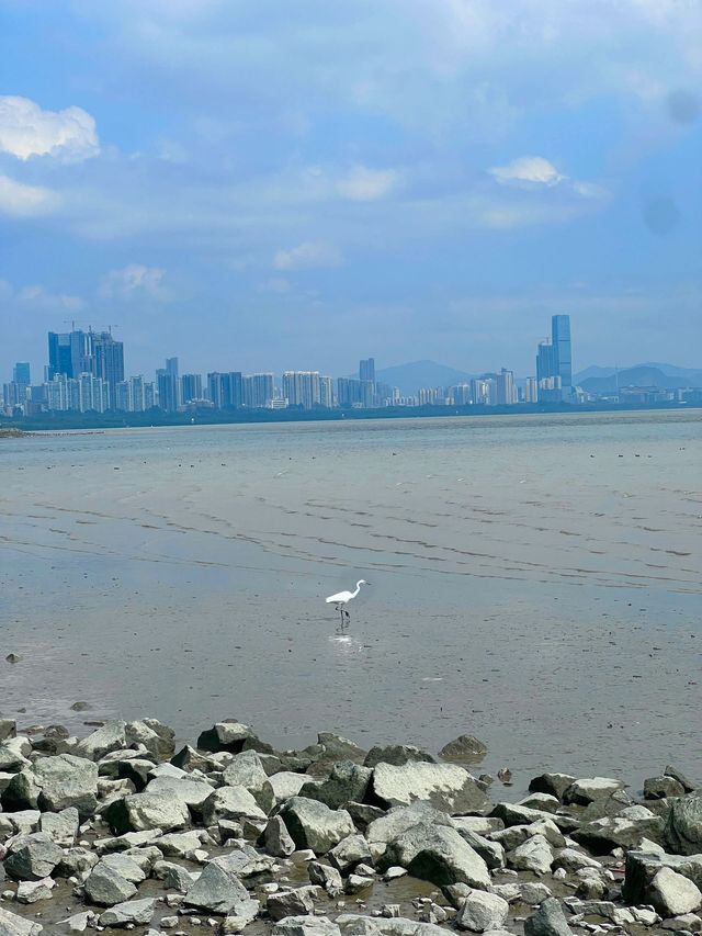 珠海-中山-深圳｜2日深度遊 玩轉三地不踩雷
