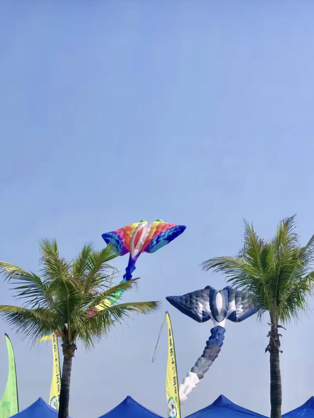 綠意海風中的詩意漫步