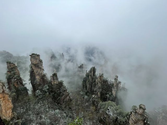 穿越四季的魔法在懸崖上凝固。