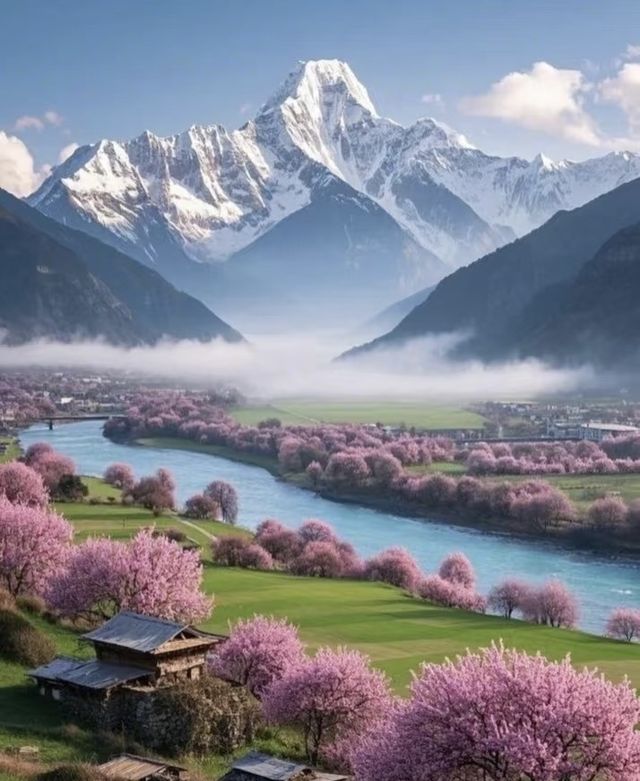 【西藏熱門行程！6天打卡8大頂流景點】
