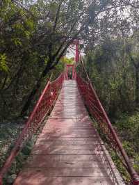 上海吳淞炮台灣國家濕地公園