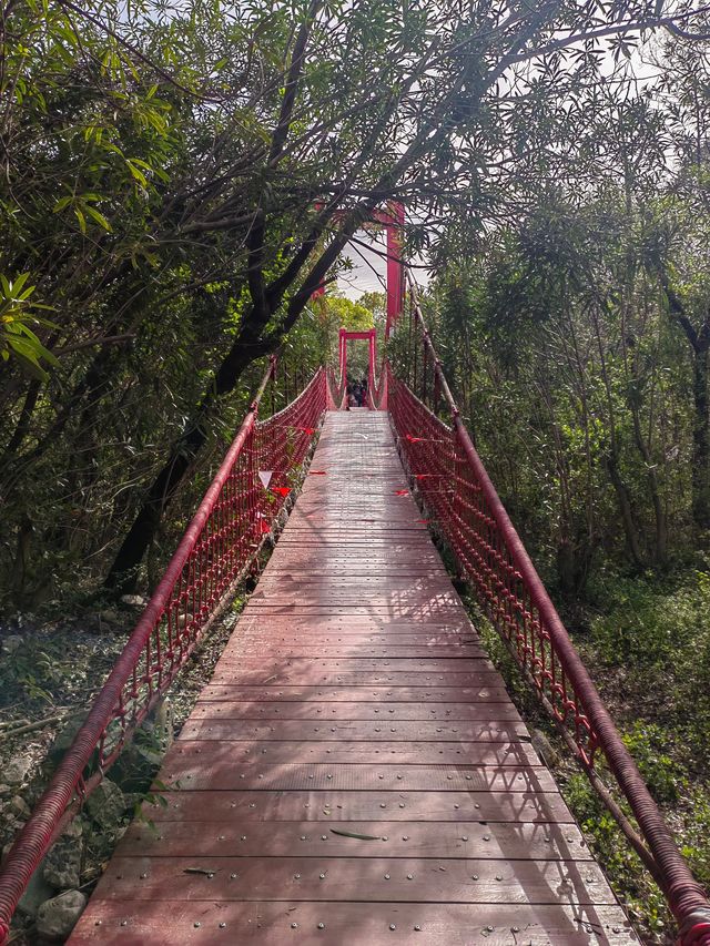 上海吳淞炮台灣國家濕地公園