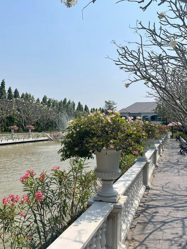 曼谷Wild Duck Cafe BKK探店 