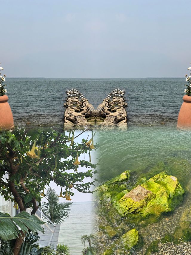 南詔風情島旅遊攻略|