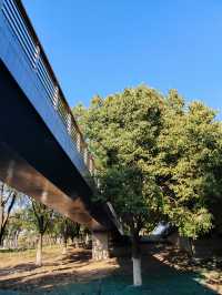 南京城東的「超級綠肺」——麒麟中央公園