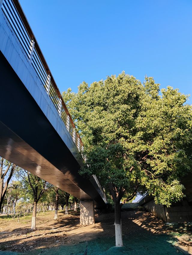 南京城東的「超級綠肺」——麒麟中央公園