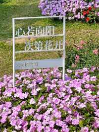 #雲溪植物園：廣州的自然詩篇