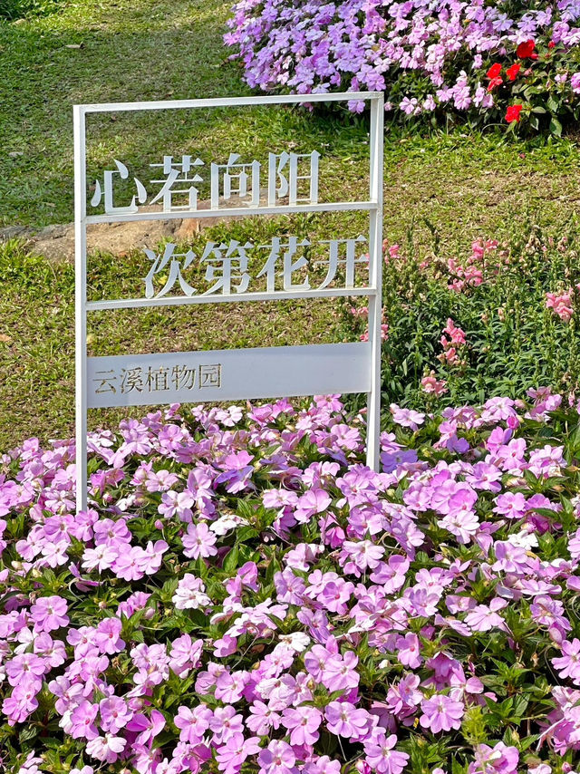 #雲溪植物園：廣州的自然詩篇