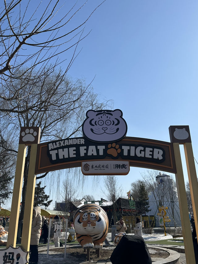 4 Days in Harbin