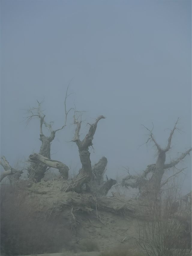 新疆不一樣的旅行｜精絕古城、沙漠、星空