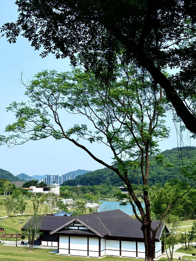 中山金鐘湖公園:邂逅自然之美  中山金鐘湖公園:邂逅自然之美