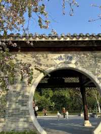 珠海中山公園：鬧市中的靜謐樂土