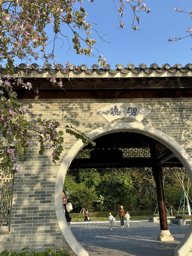 珠海中山公園：鬧市中的靜謐樂土