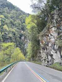 Mount Laba, a journey to see wild panda