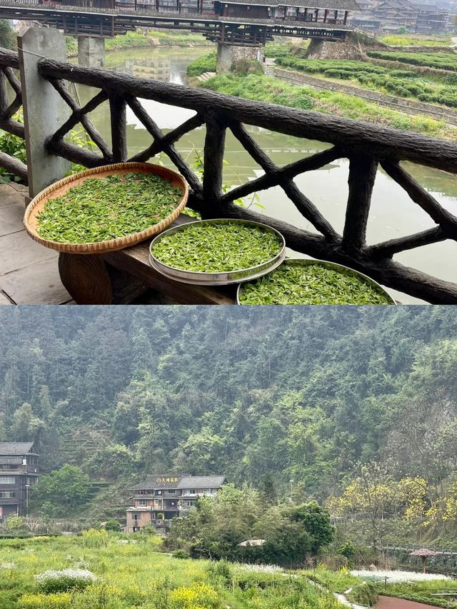柳州週末遊三江萬怡酒店也太寶藏啦