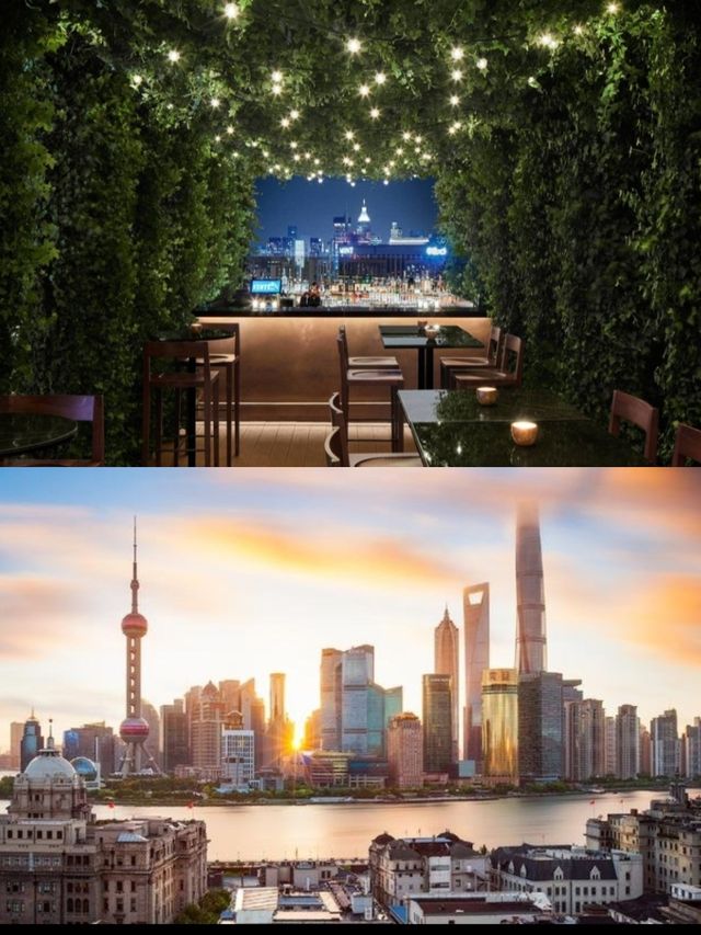 上海艾迪遜性價比高的酒店
