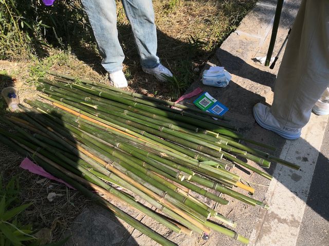 朋友圈被問瘋了🪁不知道這是哪裏