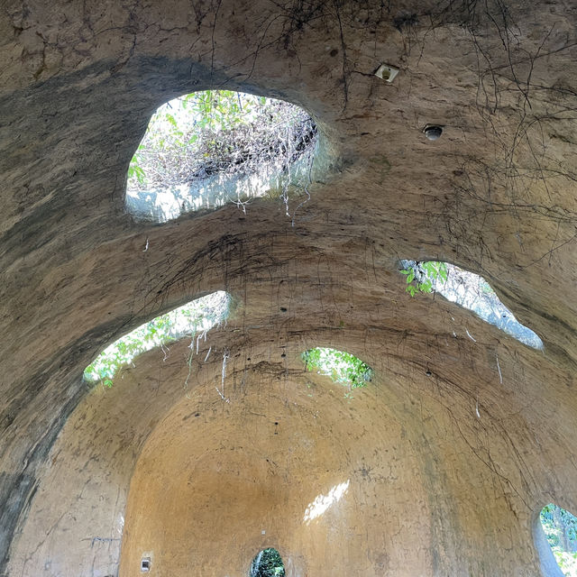 探秘！深圳水土保持示範園の蚯蚓洞奇遇