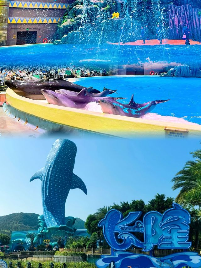 親子一定要來珠海海洋王國。