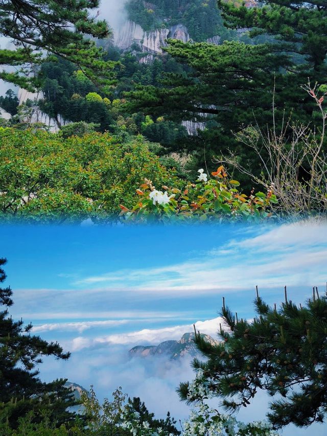 等等 什麼？ 華山 點進來讓你看看什麼是真正的華山