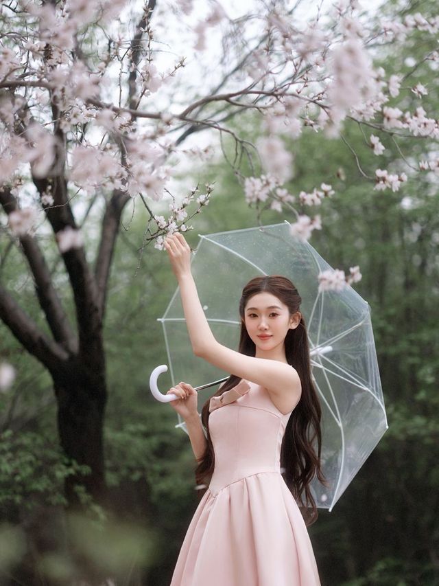 這麼美的梅花在長春。