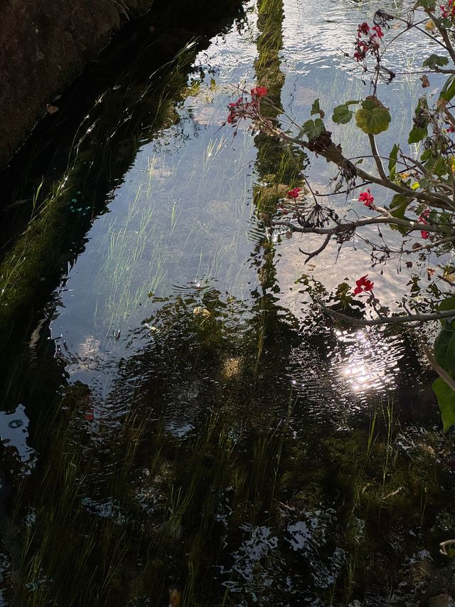 兩個i人的八天七夜雲南旅遊｜附攻略