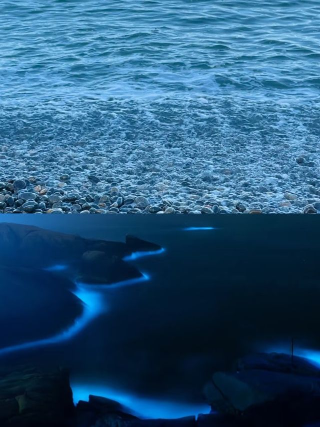 黑色海岸嘅詩意！