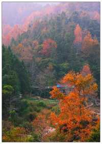 廣東人嘅「香格里拉」，四季秘境