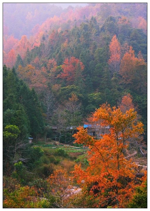 廣東人嘅「香格里拉」，四季秘境