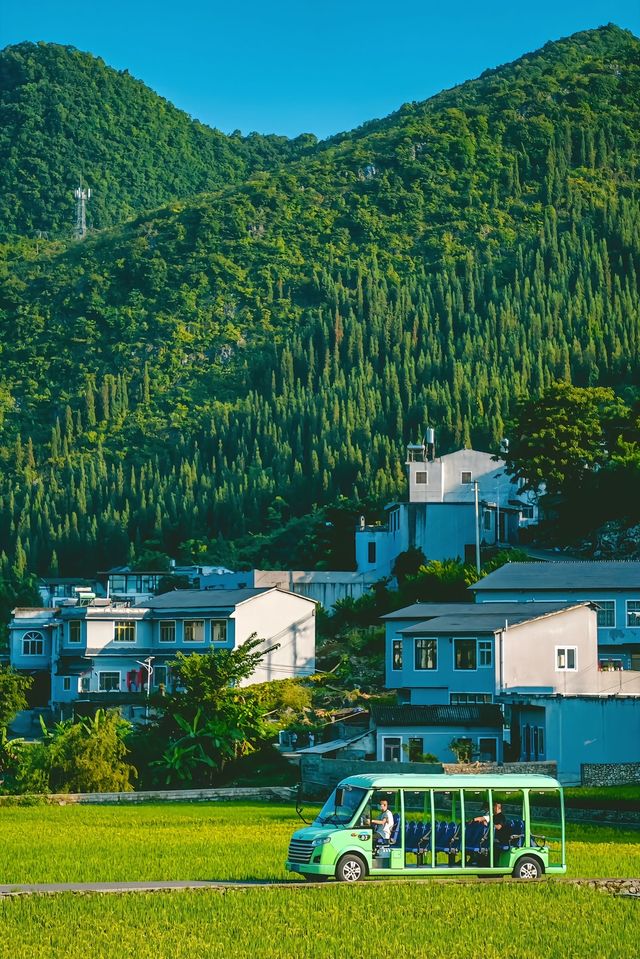 峰林為幕·稻浪為席——萬峰林田園生活真的很美