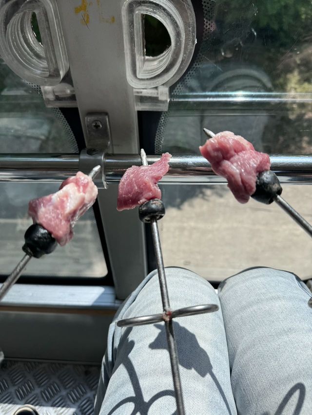 五月出遊第一站，秦嶺野生動物園嗨翻天！