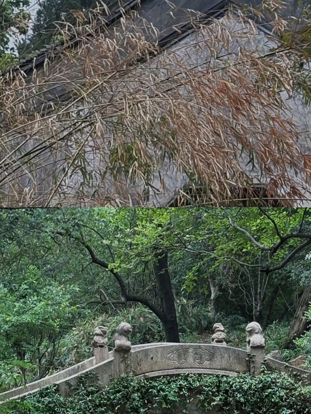 錫惠公園|無錫必打卡寶藏園林保姆級攻略嚟咯