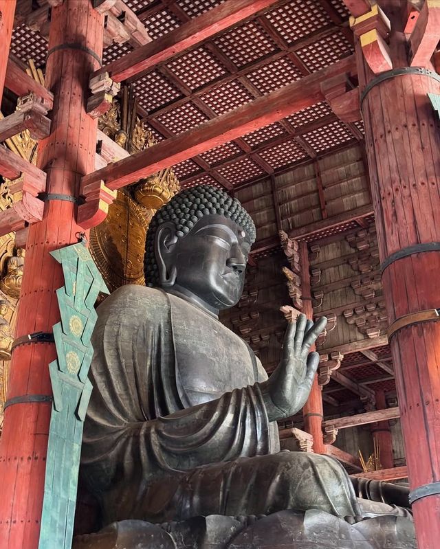 京都＆奈良＆宇治攻略，穿越關西3大名城。