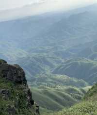 五月浪漫限定——大聖山杜鵑花