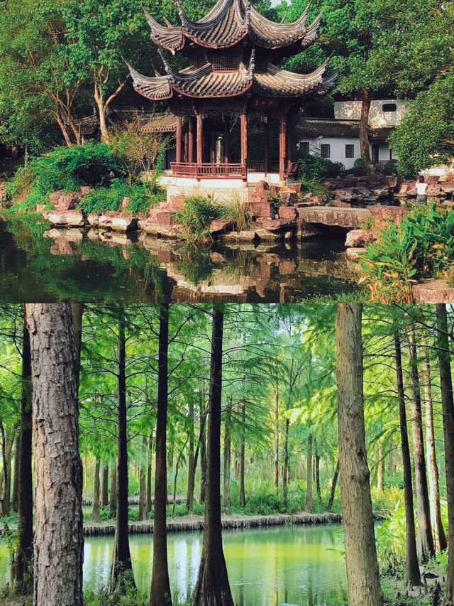 泛舟西溪，邂逅杭州最詩意嘅濕地秘境