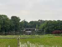 廣安——偉人故里，紅色旅遊與自然風光的交融