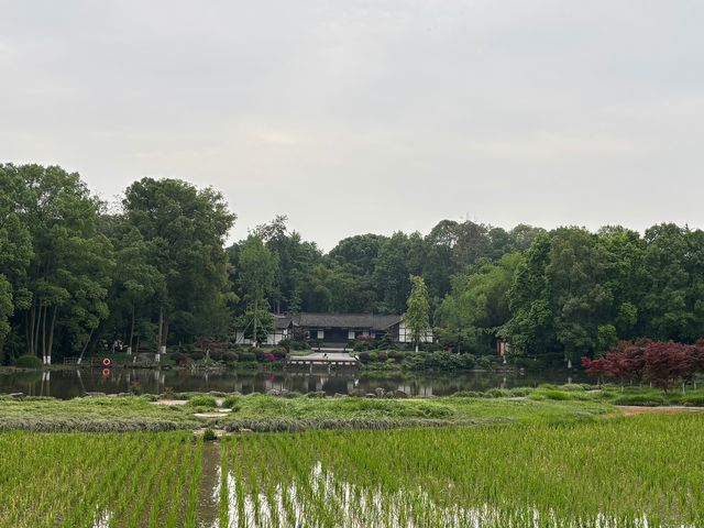 廣安——偉人故里，紅色旅遊與自然風光的交融