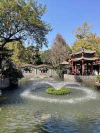 ## 清暉園筆記：在時光皺褶裡尋一片清涼