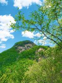 瀋陽周邊遊|搵到通往杜鵑花海嘅山間小路