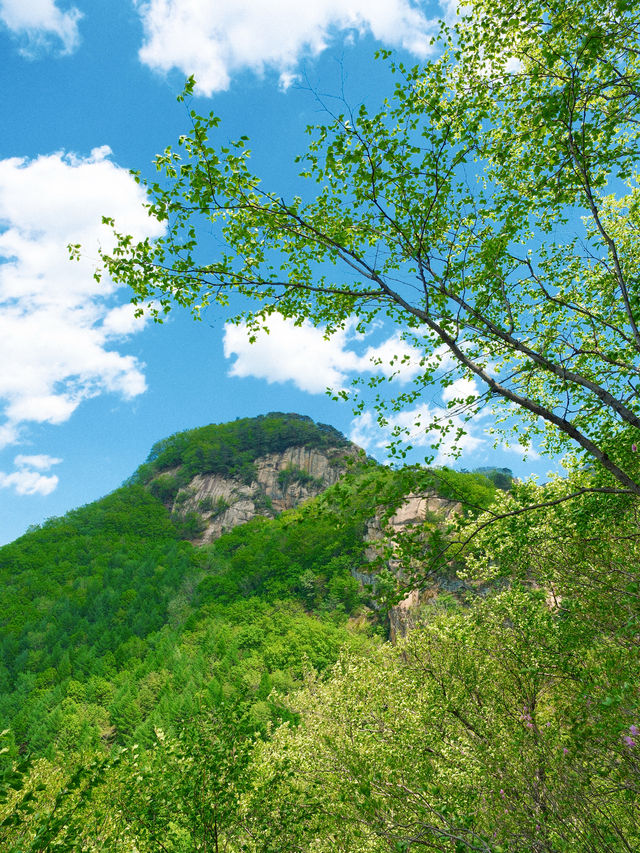 瀋陽周邊遊|搵到通往杜鵑花海嘅山間小路