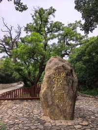 登山，由西山國家森林公園穿越至八大處公園。