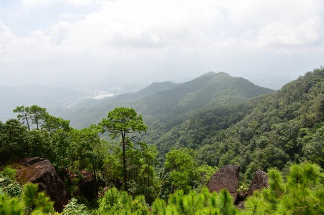 隱居山林不計年，觀雲已是仙