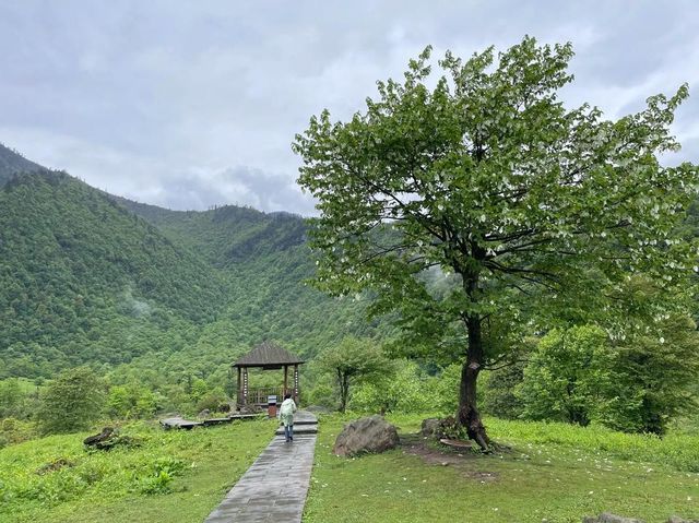 你哋聽過神秘嘅黑竹溝未？